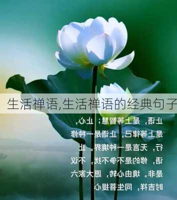 生活禅语,生活禅语的经典句子