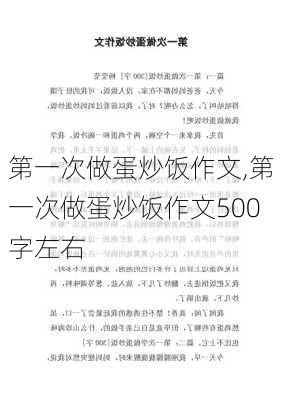 第一次做蛋炒饭作文,第一次做蛋炒饭作文500字左右