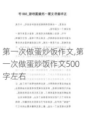 第一次做蛋炒饭作文,第一次做蛋炒饭作文500字左右