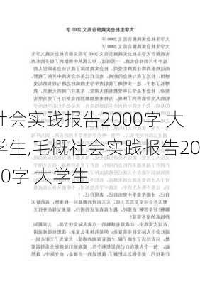 社会实践报告2000字 大学生,毛概社会实践报告2000字 大学生