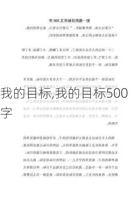 我的目标,我的目标500字