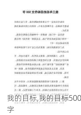 我的目标,我的目标500字