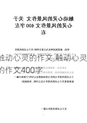 触动心灵的作文,触动心灵的作文400字