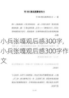 小兵张嘎观后感300字,小兵张嘎观后感300字作文