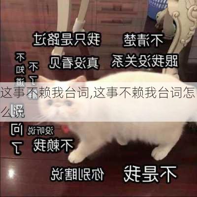 这事不赖我台词,这事不赖我台词怎么说