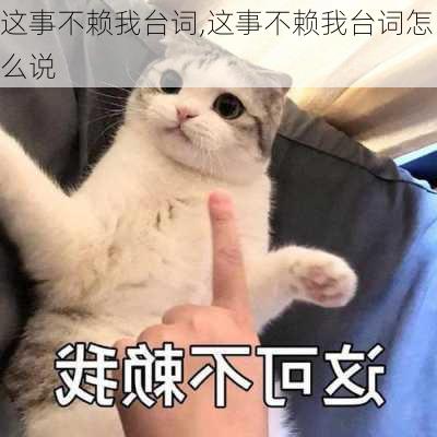 这事不赖我台词,这事不赖我台词怎么说