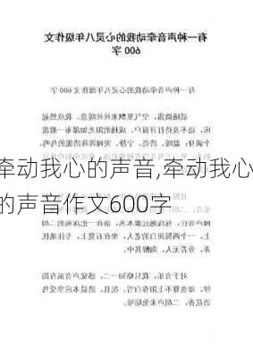 牵动我心的声音,牵动我心的声音作文600字