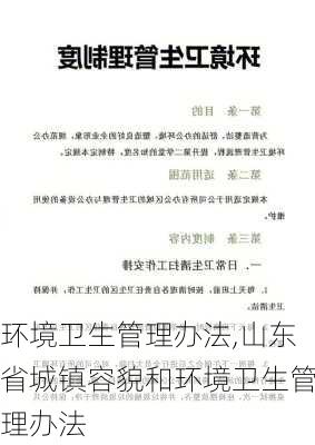 环境卫生管理办法,山东省城镇容貌和环境卫生管理办法