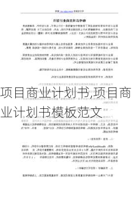 项目商业计划书,项目商业计划书模板范文