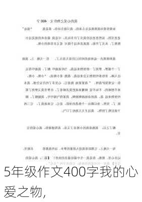 5年级作文400字我的心爱之物,