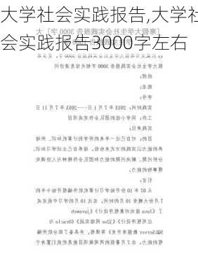 大学社会实践报告,大学社会实践报告3000字左右