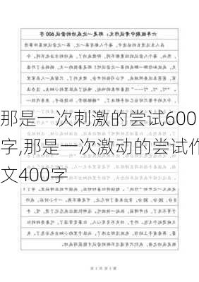 那是一次刺激的尝试600字,那是一次激动的尝试作文400字