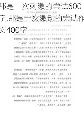 那是一次刺激的尝试600字,那是一次激动的尝试作文400字