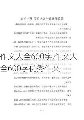 作文大全600字,作文大全600字优秀作文