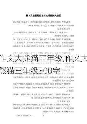 作文大熊猫三年级,作文大熊猫三年级300字