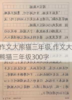 作文大熊猫三年级,作文大熊猫三年级300字