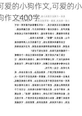 可爱的小狗作文,可爱的小狗作文400字