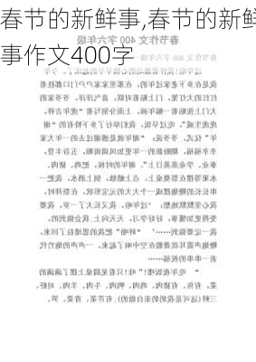 春节的新鲜事,春节的新鲜事作文400字