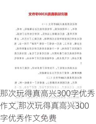 那次玩得真高兴300字优秀作文,那次玩得真高兴300字优秀作文免费