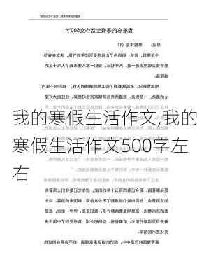 我的寒假生活作文,我的寒假生活作文500字左右