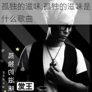 孤独的滋味,孤独的滋味是什么歌曲