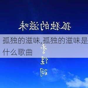 孤独的滋味,孤独的滋味是什么歌曲