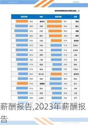 薪酬报告,2023年薪酬报告