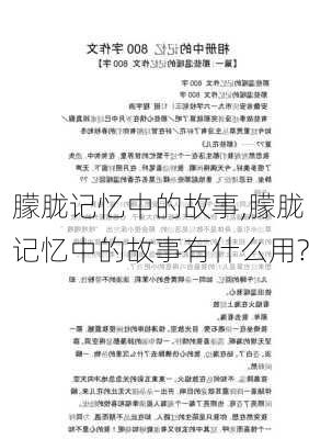 朦胧记忆中的故事,朦胧记忆中的故事有什么用?