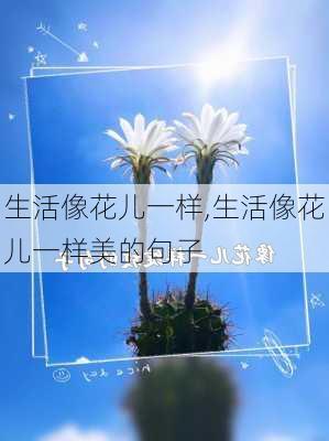 生活像花儿一样,生活像花儿一样美的句子