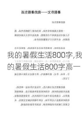 我的暑假生活800字,我的暑假生活800字高一