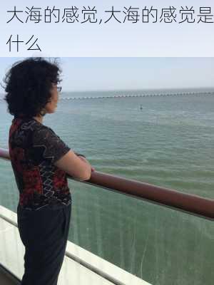 大海的感觉,大海的感觉是什么