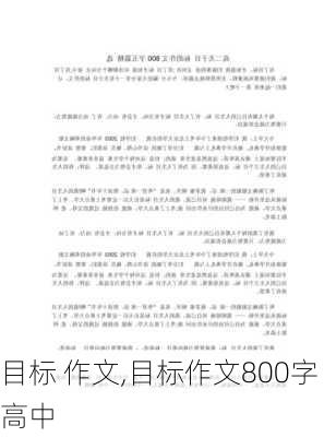 目标 作文,目标作文800字高中