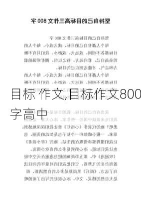 目标 作文,目标作文800字高中