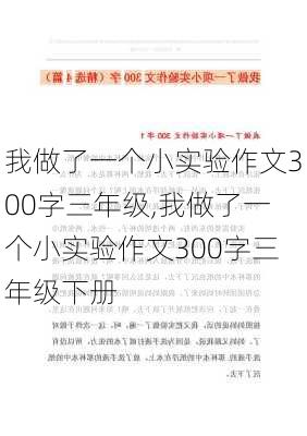 我做了一个小实验作文300字三年级,我做了一个小实验作文300字三年级下册