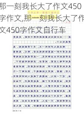 那一刻我长大了作文450字作文,那一刻我长大了作文450字作文自行车