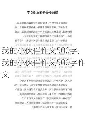 我的小伙伴作文500字,我的小伙伴作文500字作文