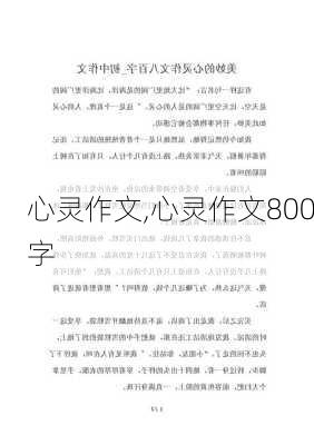 心灵作文,心灵作文800字