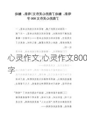 心灵作文,心灵作文800字