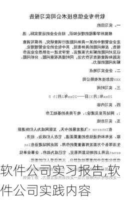 软件公司实习报告,软件公司实践内容