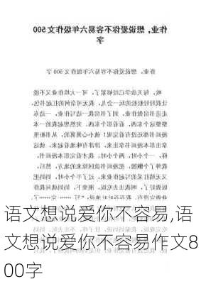 语文想说爱你不容易,语文想说爱你不容易作文800字