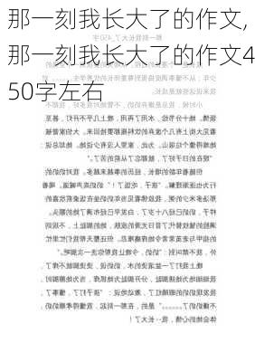 那一刻我长大了的作文,那一刻我长大了的作文450字左右