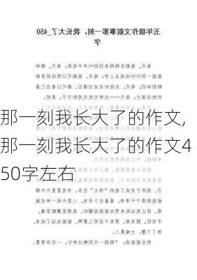 那一刻我长大了的作文,那一刻我长大了的作文450字左右