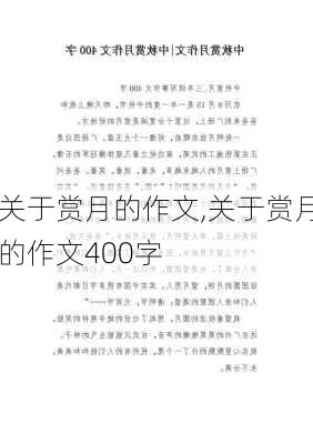 关于赏月的作文,关于赏月的作文400字