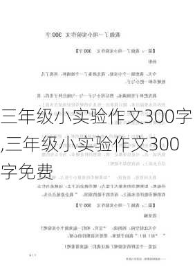 三年级小实验作文300字,三年级小实验作文300字免费