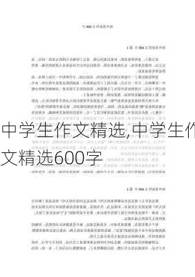 中学生作文精选,中学生作文精选600字