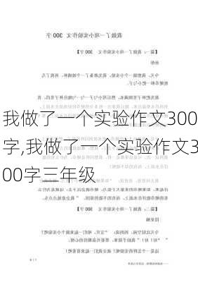 我做了一个实验作文300字,我做了一个实验作文300字三年级