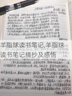 羊脂球读书笔记,羊脂球读书笔记摘抄及感悟