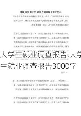 大学生就业调查报告,大学生就业调查报告3000字