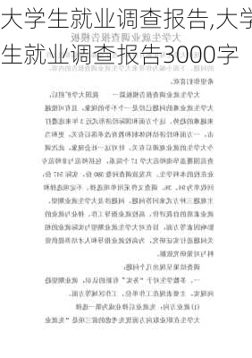 大学生就业调查报告,大学生就业调查报告3000字