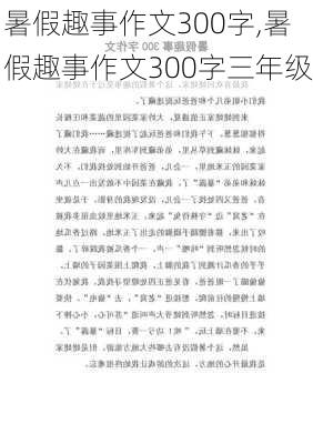 暑假趣事作文300字,暑假趣事作文300字三年级